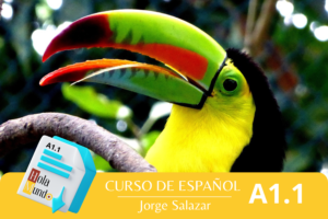 Curso Completo A1.1